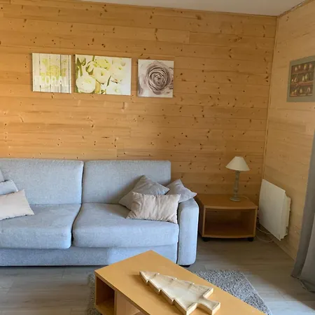 A 5 Minutes A Pied Du Centre , T2 Font-romeu Фон-Ромё