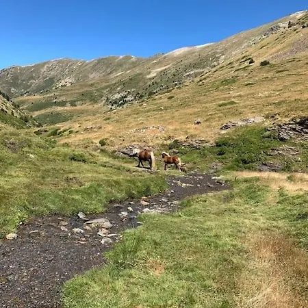 A 5 Minutes A Pied Du Centre , T2 Font-romeu Фон-Ромё