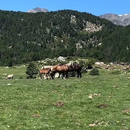 A 5 Minutes A Pied Du Centre , T2 Font-romeu Апартаменты *