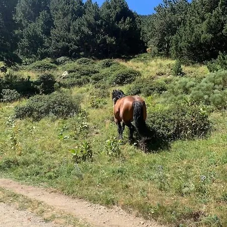 A 5 Minutes A Pied Du Centre , T2 Font-romeu Апартаменты Фон-Ромё