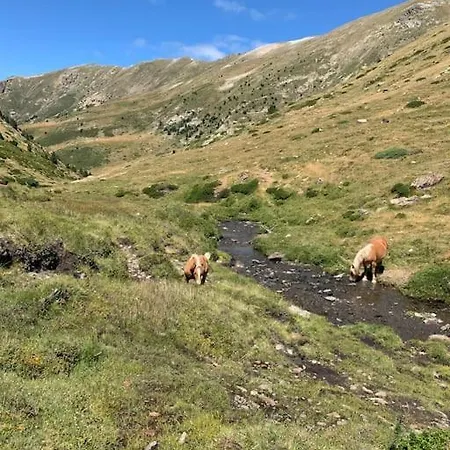 Апартаменты A 5 Minutes A Pied Du Centre , T2 Font-romeu Фон-Ромё