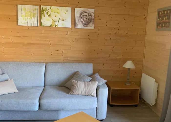 A 5 Minutes A Pied Du Centre , T2 Font-romeu Font-Romeu-Odeillo-Via