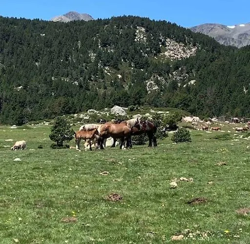 A 5 Minutes A Pied Du Centre , T2 Font-romeu Apartamento *